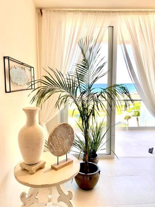 アクマルCasa Blanca By The Caribbean Seaアパートメント エクステリア 写真